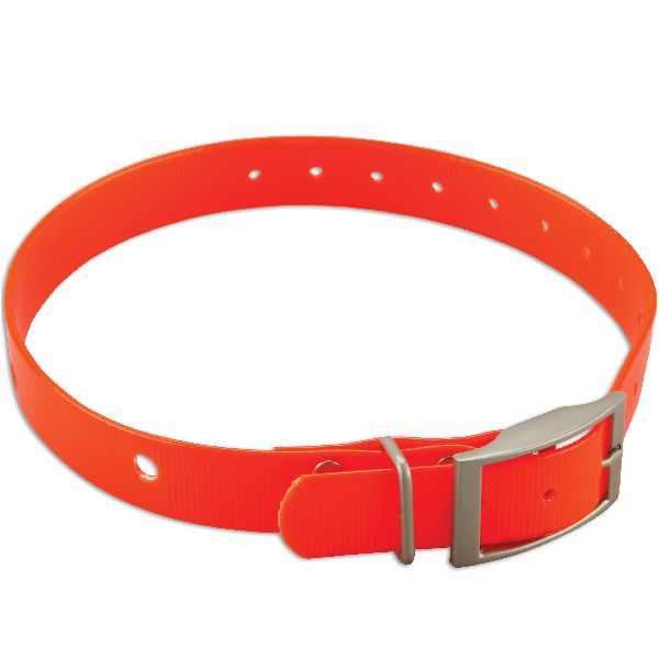 Collier pour Chien pour DC™ 40 - Orange 1" avec Boucle Carré