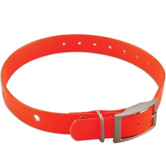 Dog Collar for DC™ 40 - Orange 1" with Square Buckle