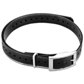 Dog Collar - Black 3/4" with Square Buckle