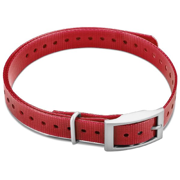 Collier pour Chien - Rouge 3/4" avec Boucle Carré