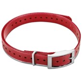 Dog Collar - Red 3/4" with Square Buckle