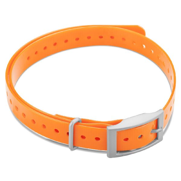 Collier pour Chien - Orange 3/4" avec Boucle Carré