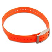 Dog Collar - Orange 1"