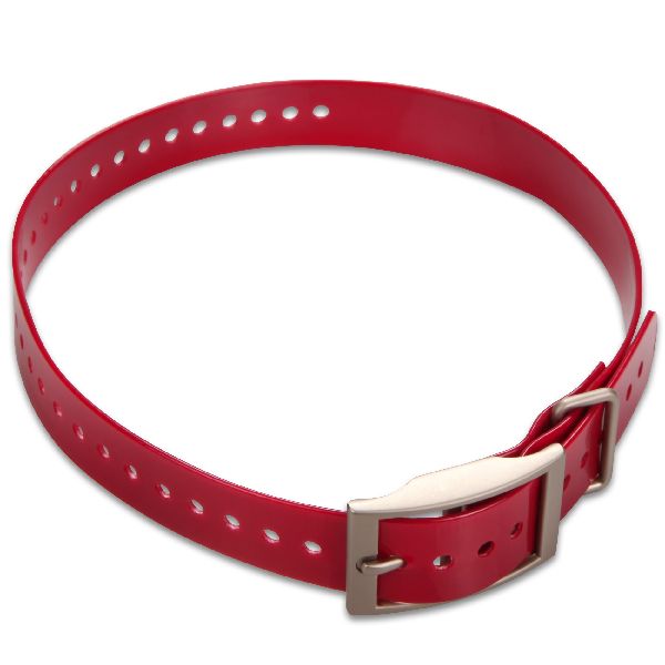 Collier pour Chien - Rouge 1"