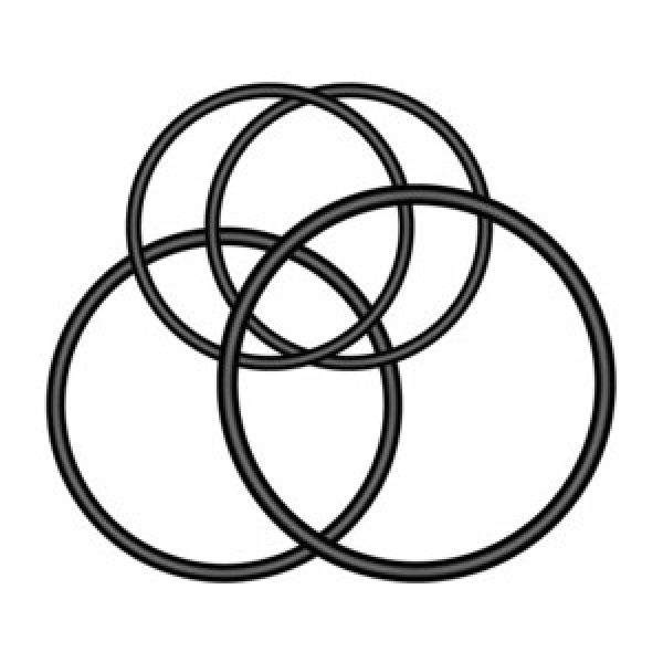 Support de Fixation Quart de Tour Polyvalent pour Feu Arrière Varia™ : Joints Toriques