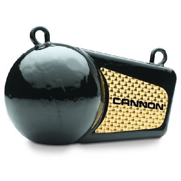 Weight Cannon 10LBS Flash