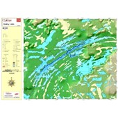 Paper chart : Healey Lake